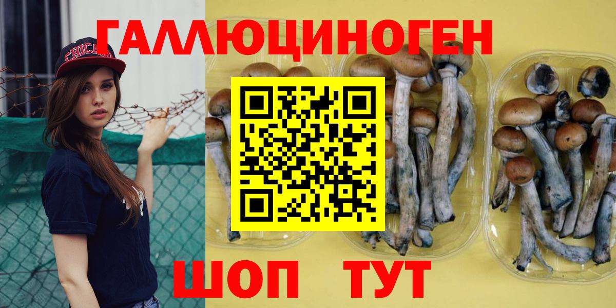 Псилоцибиновые грибы Psilocybe  Вход с VPN  Галлюциногенные грибы MAGIC MUSHROOMS  Бирск 
